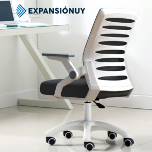 Silla Ejecutiva Ergonómica Respaldo Mesh