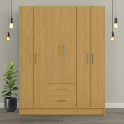 Ropero Placard 6 Puertas 2 Cajones 9 Estantes Y Perchero