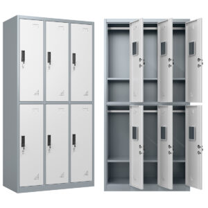 Locker Guarda Bultos 6 Puertas Ropa Metálico Con Llave Y Porta Candado